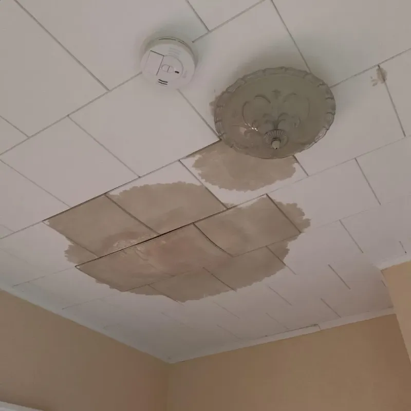 Ceiling Water Damage Repair in Cottonwood, CA